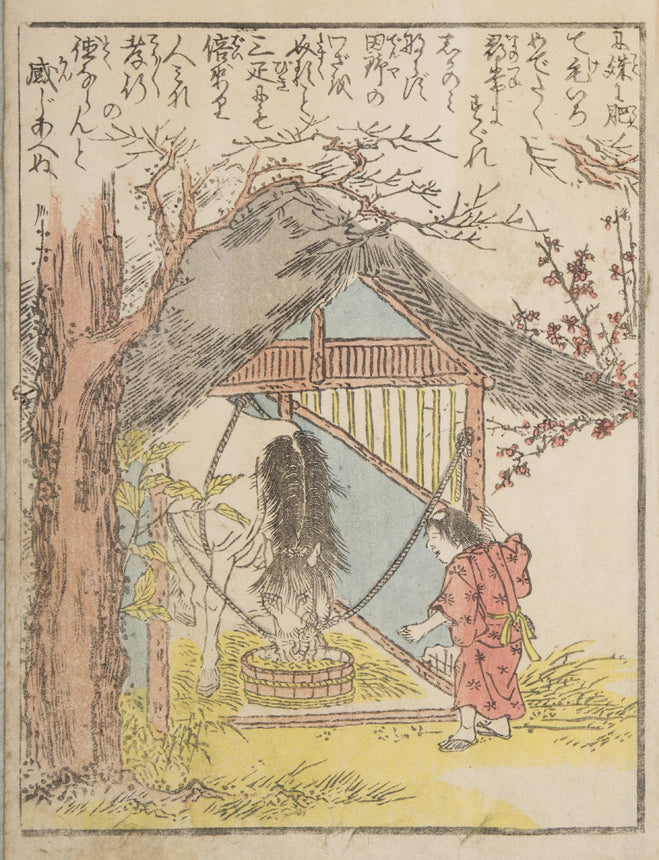 Japanese Woman Feeding Her Horse | Japanese Equestrian Print