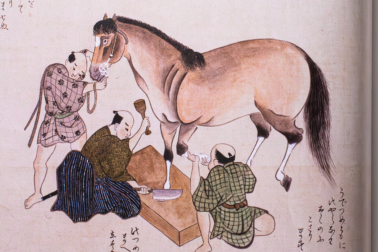 Lost Traditions:  Horses and Horse Medicine in pre-Modern Japan