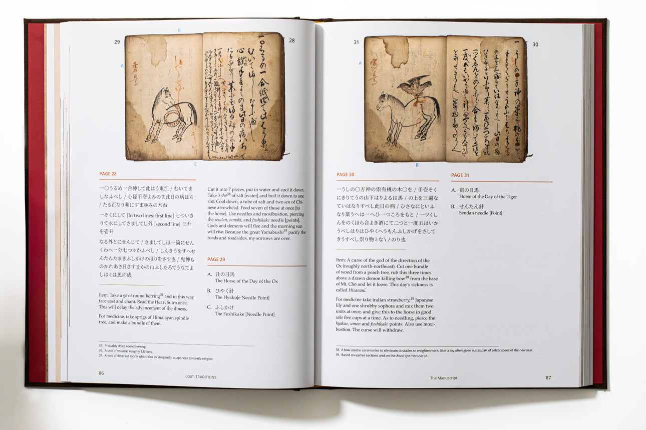 Lost Traditions:  Horses and Horse Medicine in pre-Modern Japan