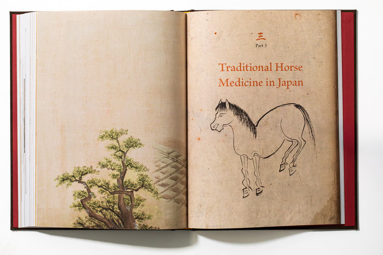 Lost Traditions:  Horses and Horse Medicine in pre-Modern Japan